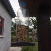 Rethink Ireland_bird feeder